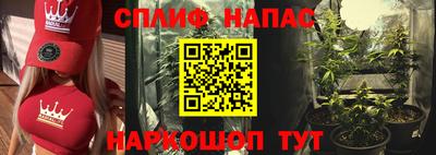 гидра Кимры