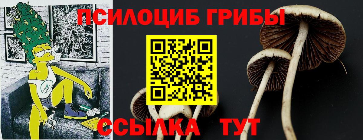 Галлюциногенные грибы ЛСД Красноуфимск